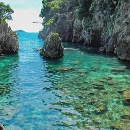 Sea & Culture *